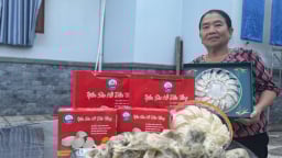 Nông dân Dầu Tiếng ở TPHCM sau sáp nhập, 'nuôi con nhà giàu', chả phải cho ăn vẫn thu tiền tỷ