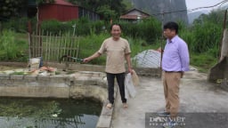 Một người Lạng Sơn làm giàu từ mô hình nuôi cá, nuôi dúi má đào, cả làng phục lăn