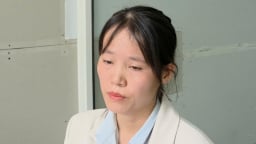 Đà Nẵng: Nữ nhân viên ngân hàng bị bắt vì lập hồ sơ giả để vay vốn thật, chiếm đoạt tiền tỷ