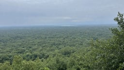Thị trường tín chỉ carbon: Nên đưa công ty chứng khoán và ngân hàng tham gia vào sàn giao dịch carbon