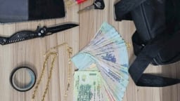 Khởi tố nghi phạm cướp giật dây chuyền vàng của phụ nữ ở Đồng Tháp