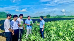 Hội Nông dân Thanh Hóa đổi mới toàn diện, nâng cao hiệu quả hoạt động các cấp Hội