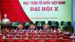 Ủy ban Trung ương MTTQ Việt Nam hướng dẫn sắp xếp, tinh gọn, hợp nhất các hội quần chúng cấp tỉnh, xã