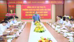 Làm việc với Hội Nông dân tỉnh, Bí thư Tỉnh ủy Cao Bằng nhấn mạnh vai trò trung tâm, nòng cốt hỗ trợ nông dân làm giàu