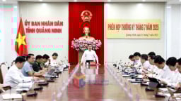 Quảng Ninh thu ngân sách nhà nước trong 7 tháng đạt gần 35.500 tỷ đồng