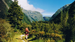 New Zealand sẽ thu phí du khách nước ngoài tới các điểm du lịch nổi tiếng, người dân được miễn phí