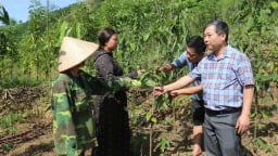  Nông thôn Tây Bắc: Thành lập Quỹ Hỗ trợ nông dân tỉnh Lào Cai với vốn điều lệ hơn 66 tỷ đồng
