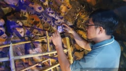 Loại “vàng trắng” tinh túy triệu USD của Khánh Hòa sẽ về TP.HCM, tái hiện ngay trên phố đi bộ Nguyễn Huệ