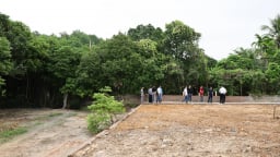 Cò đất 'lộng hành', nhiều địa phương siết chặt quản lý