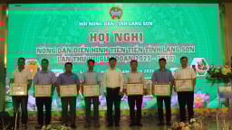 Lạng Sơn: Những 'trái ngọt' từ các phong trào thi đua nông dân, tôn vinh những tấm gương điển hình