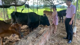 Đà Nẵng: Xã Tây Hồ giữ vững mạng lưới giao dịch gần dân, sát dân đảm bảo dòng vốn chính sách thông suốt, kịp thời