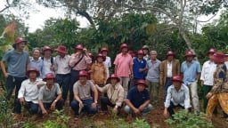 Nông thôn mới ở Châu Đức, TPHCM, khi sản xuất nông nghiệp gắn với tiêu thụ sản phẩm