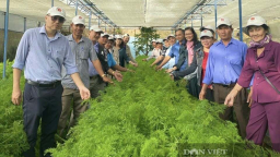 Xã Hưng Long, TPHCM chọn chuyển đổi số để tạo bước đột phá trong sản xuất nông nghiệp