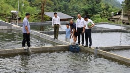 Nông thôn mới ở Mường Bo của tỉnh Lào Cai, xây dựng miền quê đáng sống có các mô hình sản xuất mới