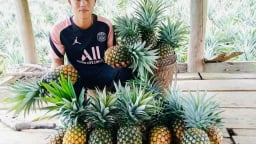 Nông thôn Tây Bắc: Khi nguồn vốn chính sách tiếp sức cho hành trình thoát nghèo ở Điện Biên