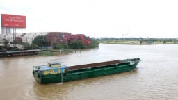 Đồng Nai ra hạn chót bàn giao mặt bằng KCN Biên Hòa 1 trong tháng 9, có 'biện pháp mạnh' với doanh nghiệp chây ì