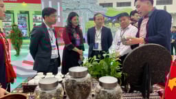 Tuyên Quang quảng bá nông sản OCOP, văn hóa đặc sắc và thành tựu kinh tế - xã hội tại Triển lãm A80 năm 2025
