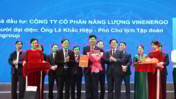 UBND tỉnh Gia Lai và VinEnergo ký kết hợp tác phát triển điện năng lượng tái tạo
