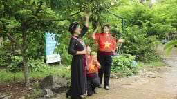 Lạng Sơn: Mở tour du lịch nông nghiệp với những vườn na trên thung lũng đá vôi hùng vĩ