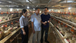 Kiểm soát ATTP trong chăn nuôi và sản phẩm chăn nuôi: Ứng dụng Blockchain, xây dựng dữ liệu quản lý dịch bệnh 