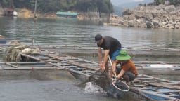Kinh tế lòng hồ Hòa Bình: Từ sinh kế tự nhiên đến chuỗi giá trị bền vững