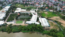 Sóc Sơn (Hà Nội): Gần 6 năm sống trong ô nhiễm từ cơ sở chăn nuôi lợn ở xã bên cạnh