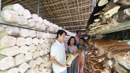 Đà Nẵng: Từ vốn vay ưu đãi đến những mô hình kinh tế thu lãi hàng trăm triệu đồng/năm ở Hòa Vang