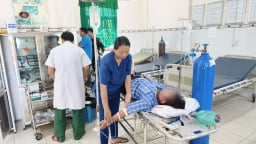 Đi tảo mộ, 3 người bị ong đốt cấp cứu, 1 người hôn mê sâu