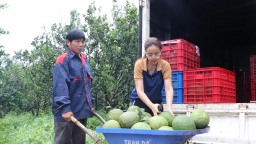 Văn phòng SPS Việt Nam thông báo mới nhất dự thảo, quy định có hiệu lực các biện pháp ATTP và kiểm dịch động thực vật 