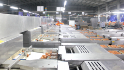 Không ứng dụng công nghệ, ngành chăn nuôi khó trụ vững trước áp lực chi phí và rủi ro dịch bệnh