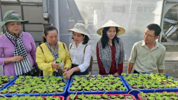 Hướng tới Đại hội Hội Nông dân Việt Nam lần thứ IX: Giúp nông dân TPHCM chuyển đổi số, vốn ưu đãi ở mức vay lớn 