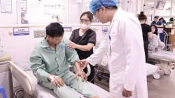 Đầu hè, nhiều người dân bị rắn cắn, bác sĩ cảnh báo nguy hiểm 'mùa nhạy cảm' 