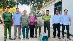 Trong lúc đi làm rẫy, vợ chồng người dân Lâm Đồng bắt được con kỳ đà vân quý hiếm liền giao nộp cơ quan chức năng 