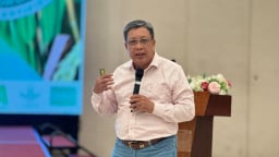 Số hóa quy trình canh tác Đề án 1 triệu ha lúa chất lượng cao, phát thải thấp gắn với điều quan trọng này ở vùng ĐBSCL