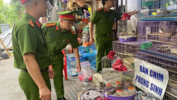 Phường Hai Bà Trưng, Hà Nội: Kiểm tra, xử lý cơ sở kinh doanh chim cảnh không rõ nguồn gốc ở tuyến phố Tăng Bạt Hổ