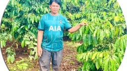 Các cộng đồng người Campuchia an cư trên đất Gia Lai, 'làng lánh nạn' năm nào nay là vùng quê nông thôn mới đang trù phú