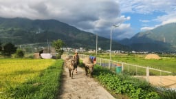 Sáp nhập thôn, tổ dân phố 2026 mới nhất, dân 2 bản xã Bình Lư, tỉnh Lai Châu 'ngộ ra' với tên gọi mới- thôn Thái Bình