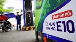 Giá xăng dầu hôm nay 28/5: Dầu thô 'xuống đáy', xăng dầu trong nước giảm mạnh