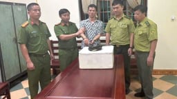 Ninh Bình xử lý gần 20 vụ vi phạm về động vật hoang dã, từ rắn hổ mang chúa đến chim hoang dã