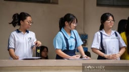 Đáp án môn Toán vào lớp 10 năm 2026 TP.HCM chuẩn nhất
