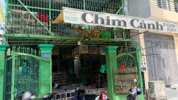 Tạm giữ 35 con chim chào mào nuôi nhốt không có giấy tờ ở phường Bà Rịa, TPHCM (địa phận tỉnh Bà Rịa-Vũng Tàu cũ)