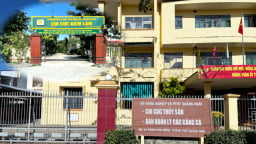 Nhân sự lãnh đạo thuộc Sở Nông nghiệp và Môi trường mới được Chủ tịch tỉnh Quảng Ngãi bổ nhiệm là ai?