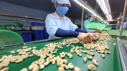 Mỹ đánh thuế 46% lên hàng hóa Việt Nam: Ngành hàng nông sản đang thu 1 tỷ USD từ Mỹ tìm được điểm thuận lợi