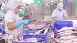 Phụ thuộc vào xuất khẩu thủy sản sang Mỹ, loạt 'ông lớn' Vĩnh Hoàn, Sao Ta, Minh Phú, Hùng Vương...phản ứng ra sao trước đòn thuế 46%?