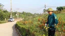 Đường hoa nông thôn mới đẹp tinh tươm ở Hà Nam, dân tha hồ chụp ảnh, quay phim