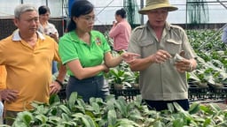 Khuyến nông cộng đồng, chìa khóa nâng cao dân trí, giảm nghèo đa chiều ở nông thôn
