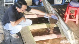 Loại cá toàn thịt nạc này đang bán giá tốt ở Tiền Giang, đủ cân đủ lạng bắt lên bán hết veo