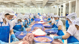 Nhu cầu của Trung Quốc, Mỹ thúc đẩy xuất khẩu cá tra của Việt Nam