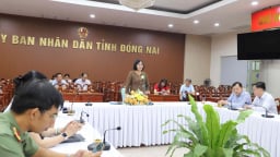 Các huyện nào của Đồng Nai đã được công nhận đạt chuẩn nông thôn mới nâng cao, nông thôn mới kiểu mẫu