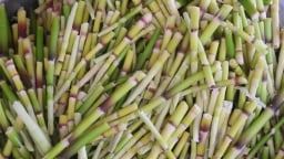 Chồi rừng non bấn ở Lào Cai thực ra là loại rau rừng đặc sản gì, hễ thấy là muốn mua liền?